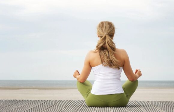 What Is Psychotherapy and How Can It Help You?